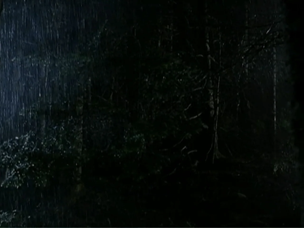 Catch a Falling Star (2000) movie still: establishing — A dense forest at night is obscured by a heavy, continuous downpour of rain. The dark…