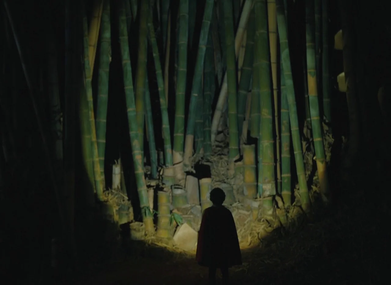 Red Island (2023) movie still: wide — A dense bamboo grove at night is illuminated by a small, concentrated beam of light. A small figure in a cape…