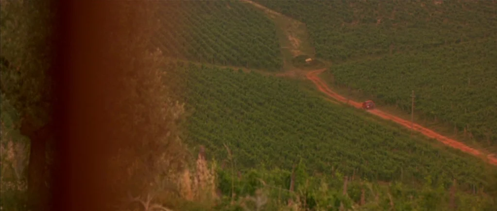 Stealing Beauty (1996) movie still: wide — Vast rows of grapevines span rolling hills under a warm, late afternoon sun. A small red car drives…