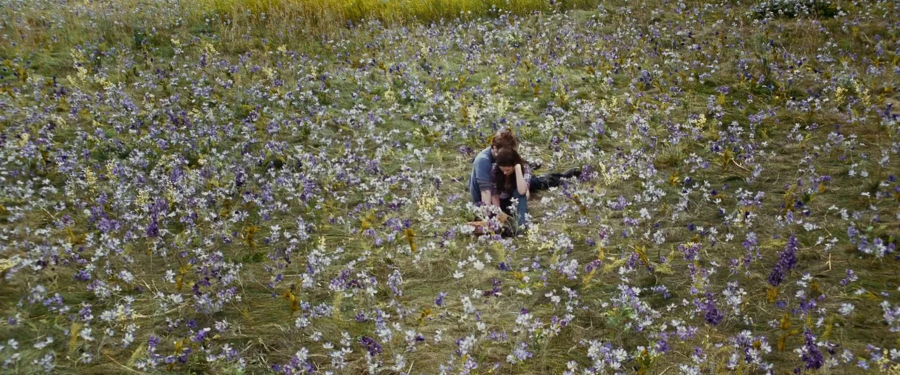 The Twilight Saga: Eclipse (2010) movie still: wide — A vast, expansive meadow is densely covered in a mix of purple and white flowers. Two young…