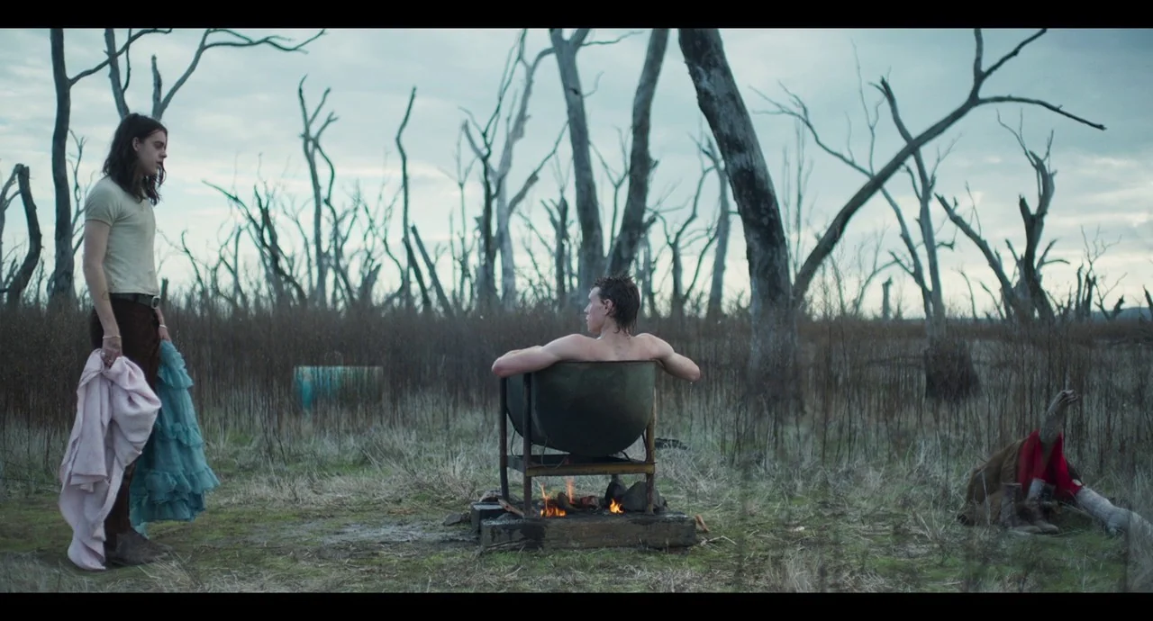True History of the Kelly Gang (2019) movie still: wide — A field filled with dead, leafless trees stands under a cloudy, overcast sky. One man…
