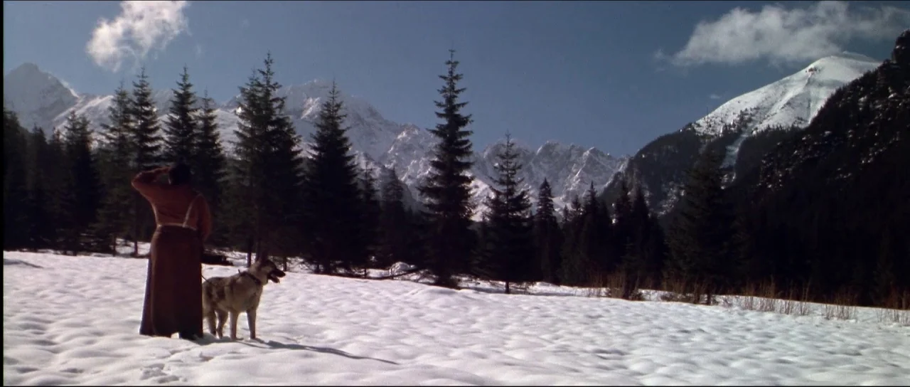 Ravenous (1999) movie still: wide — A snowy, sunlit valley is surrounded by dense pine trees and jagged snow-covered mountains. A woman stands in…