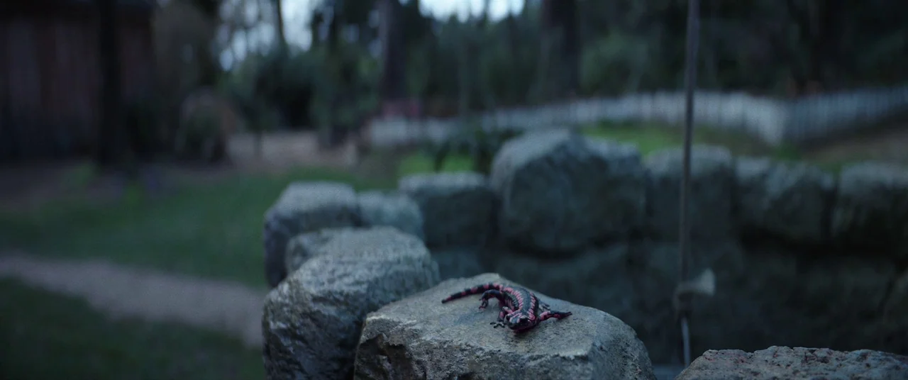 Colour Out of Space (2020) movie still: closeup — A small salamander sits on the edge of a rustic stone well at dusk. In the background, a blurry…