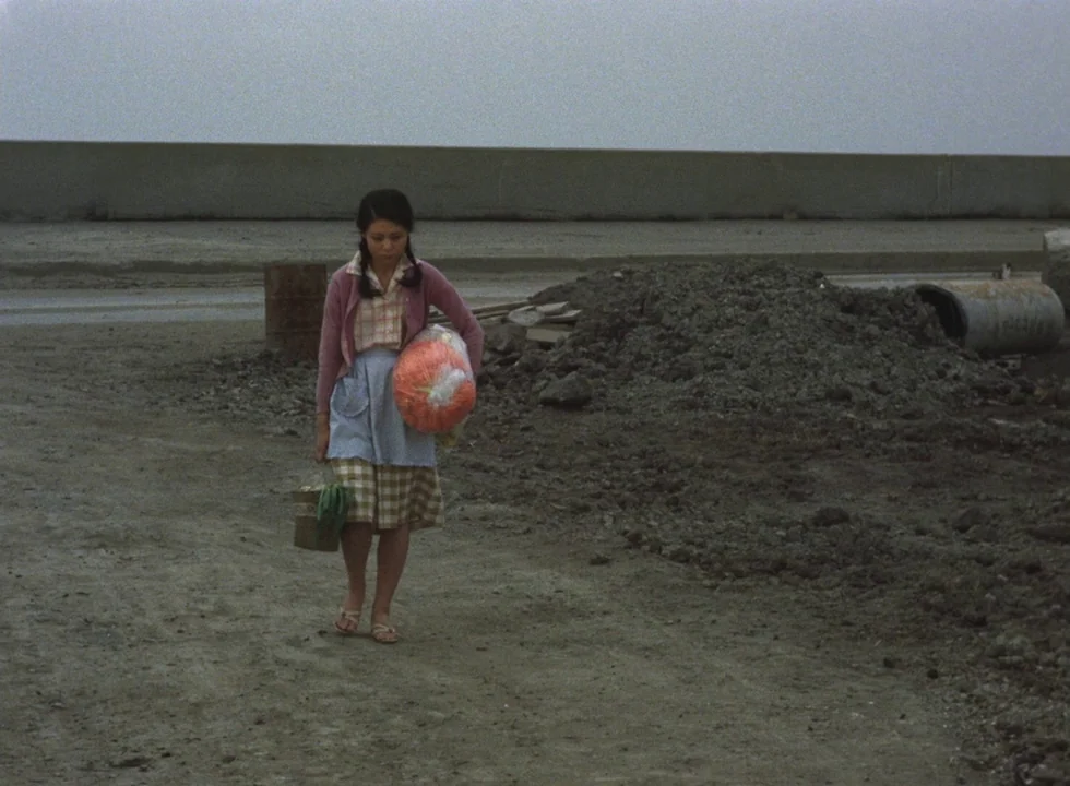 Dodes’ka-den (1970) movie still: fullbody — A desolate, grey dirt lot is marked by piles of rubble and debris. A woman in a pink cardigan walks…