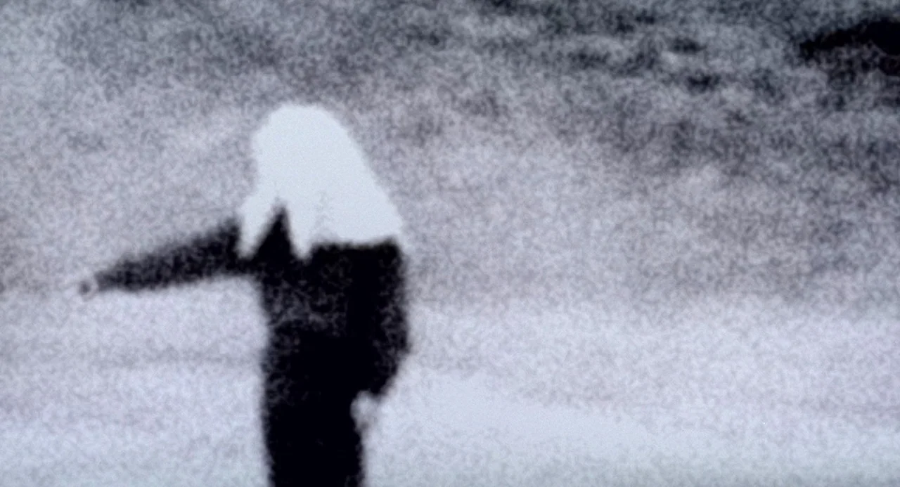 Ringu (1998) movie still: medium — An open field under a bright sky with heavy broadcast static distortion. A dark silhouette of a person reaches…
