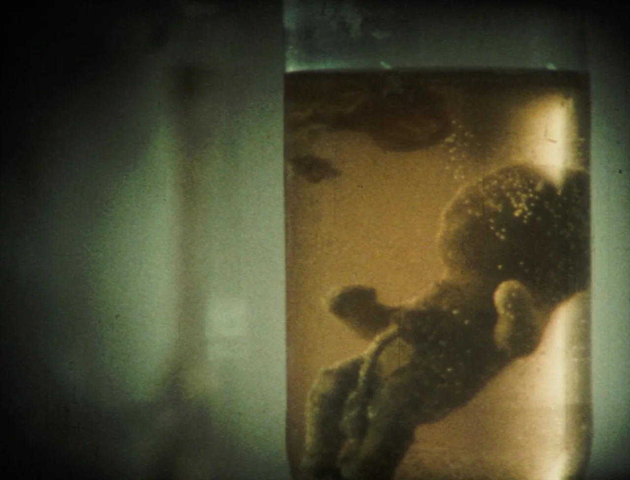 Nekromantik (1988) movie still: closeup — A glass medical jar contains a preserved fetal specimen floating in cloudy amber fluid. The background is…