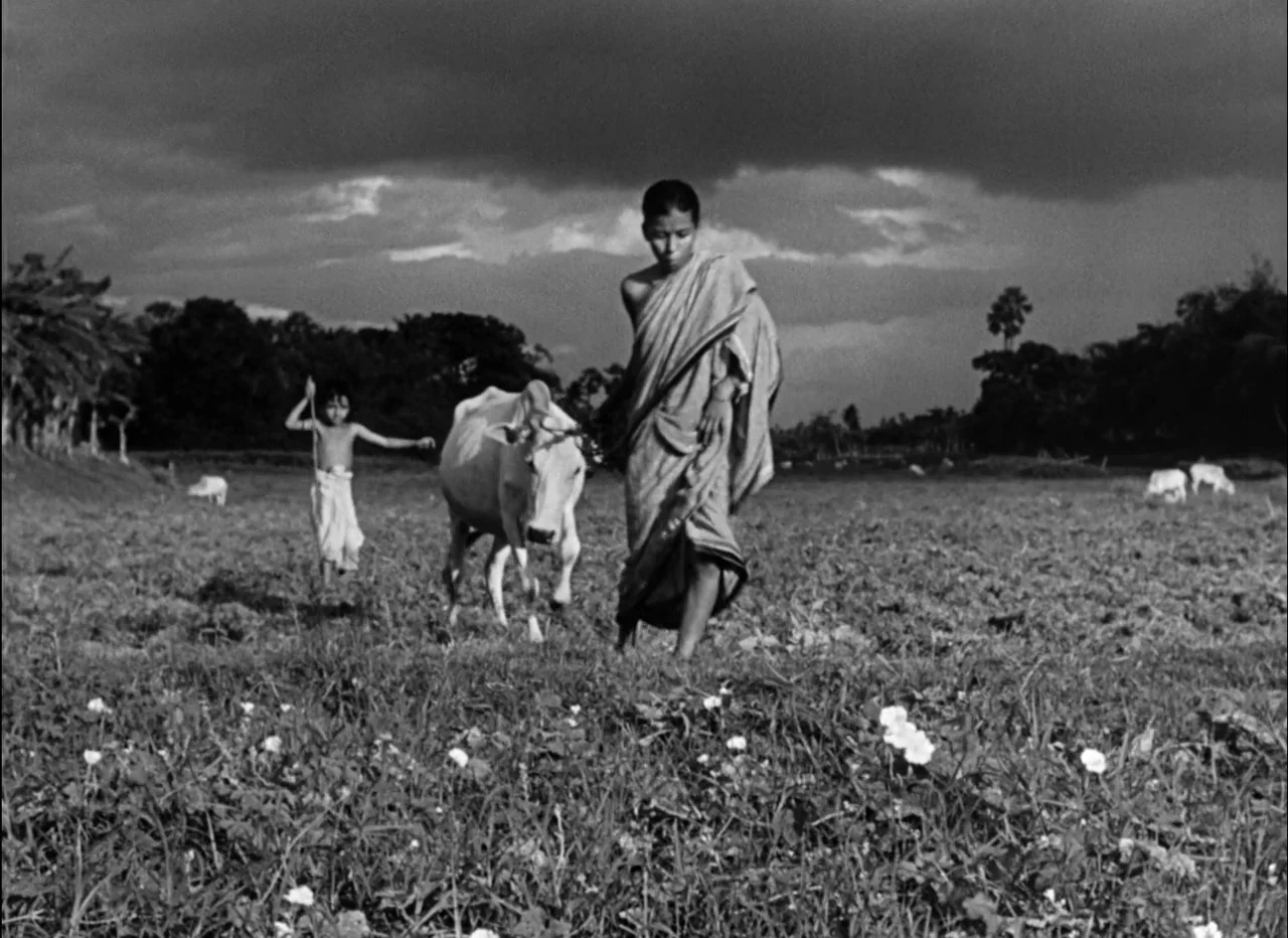 Pather Panchali (1955) movie still: fullbody — A woman leads a cow across a rural field under a dark storm-filled sky. A young boy follows closely…