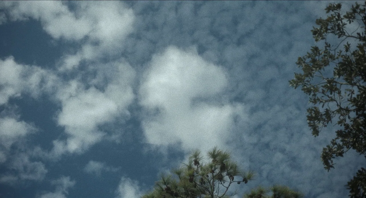 May December (2023) movie still: establishing — A bright sky filled with scattered altocumulus clouds and patches of blue. Treetops frame the lower…