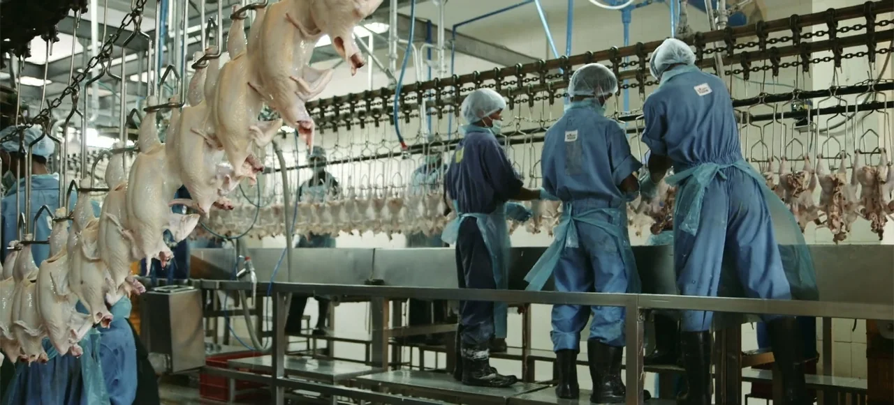 10 Billion: What's On Your Plate (2015) movie still: medium — A sterile industrial facility features metal machinery and a continuous overhead…