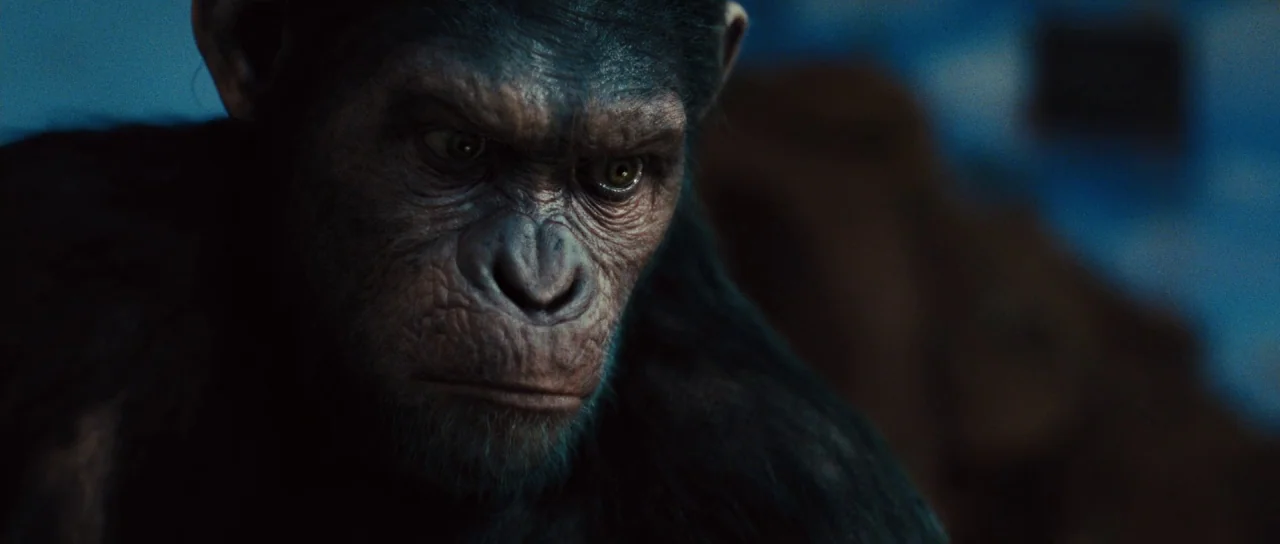 Rise of the Planet of the Apes (2011) movie still: closeup — A close portrait of a chimpanzee in a dark, dimly lit environment. The subject looks…