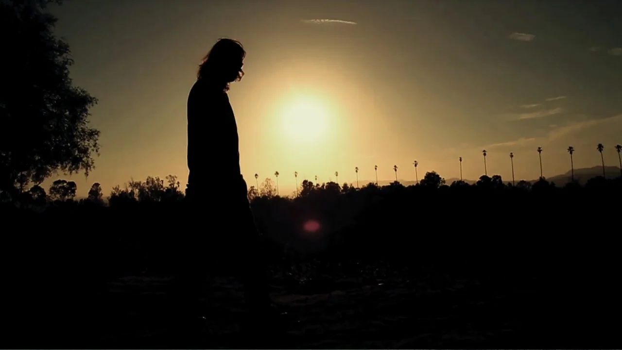 Control (2022) movie still: fullbody — An open park landscape features a line of distant palm trees at sunset. A lone person walks in silhouette…
