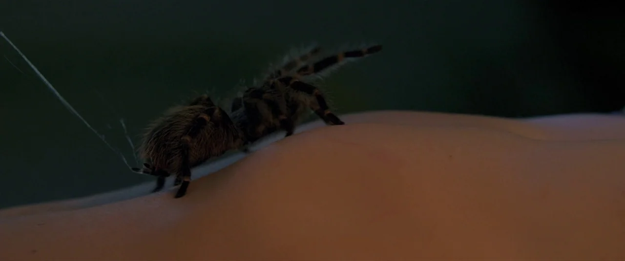 The Editor (2014) movie still: closeup — A furry tarantula walks along the smooth surface of human skin in a dimly lit setting. A thin strand of…
