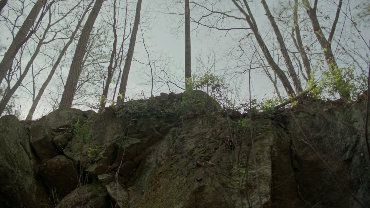 Die Hart (2023) movie still: establishing — A steep rocky cliff rises toward a grey sky with tall bare trees above. The uneven stone surface…