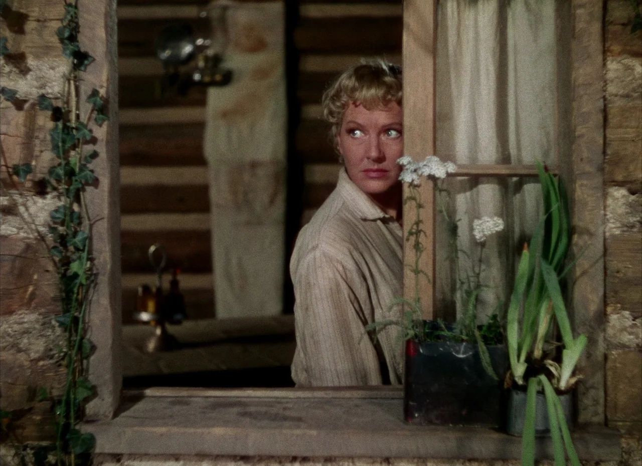 Shane (1953) movie still: medium — A woman stands within the wooden frame of an open window inside a cabin. The exterior light illuminates her face…