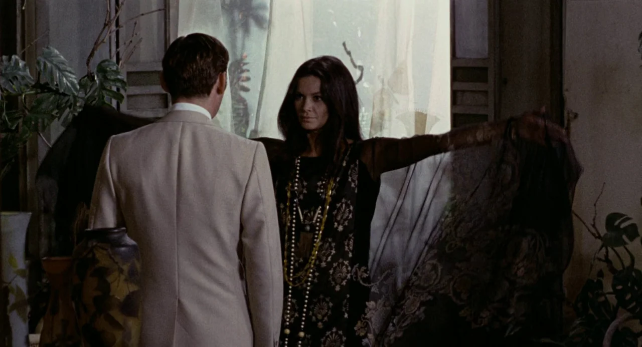 Investigation of a Citizen Above Suspicion (1970) movie still: medium — A light-filled sunroom features potted plants and a large window with sheer…