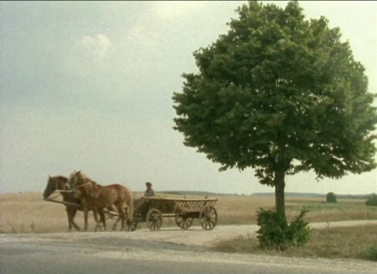 From The East (1993) movie still: wide — A rural dirt road passes through an expansive, golden wheat field under a pale sky. A man steers a cart…