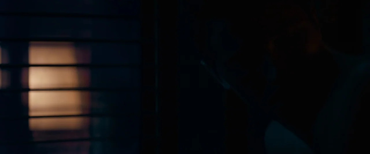 Mudbound (2017) movie still: closeup — A dark, dimly lit room features a window partially covered by horizontal blinds. A person sits in the…
