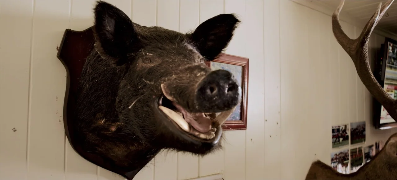 Boar (2018) movie still: closeup — A mounted taxidermy boar head is fixed to a white vertical wood panel wall. To the right, part of a deer antler…