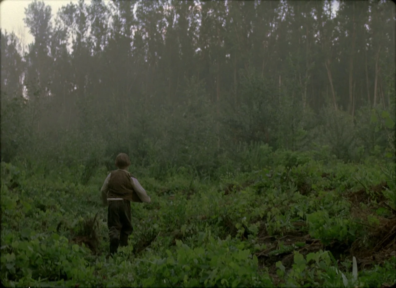 Son of Saul (2015) movie still: wide — A dense, hazy woodland clearing with uneven ground and lush low-lying vegetation. A small boy runs away from…