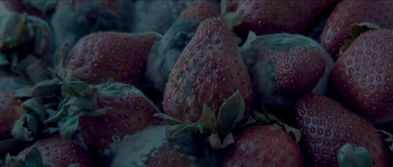 Rigor Mortis (2013) movie still: closeup — A close-up view shows a pile of strawberries decaying with visible white mold. The fruit skins are…