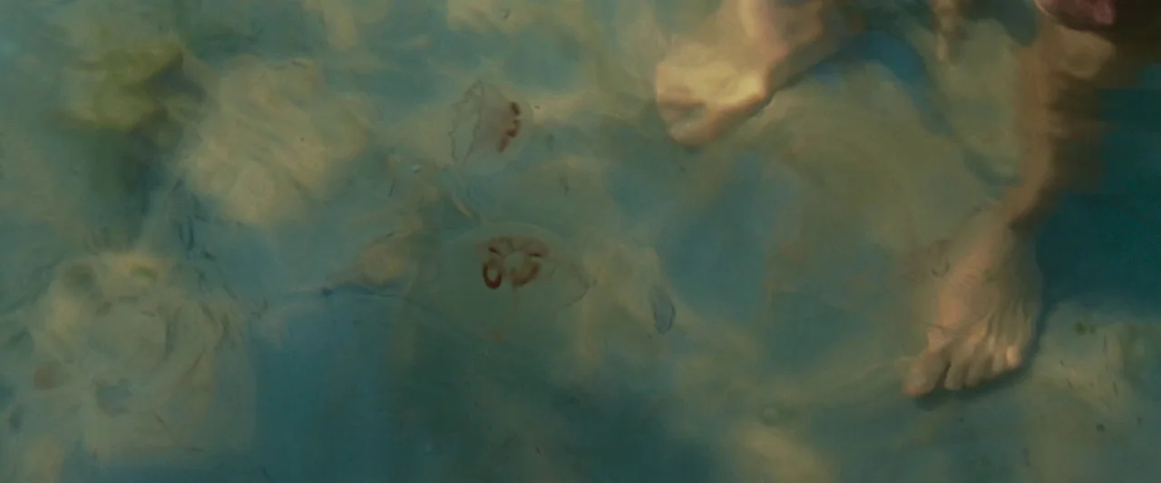 Bergman Island (2021) movie still: medium — Sunlit blue water contains several translucent jellyfish swimming near human feet. The perspective is…