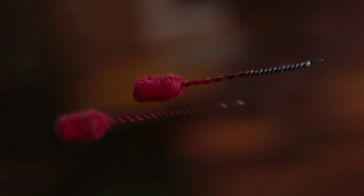Gentlemen Broncos (2009) movie still: closeup — Two small, red-tipped objects float suspended against an out-of-focus dark brown backdrop. The…