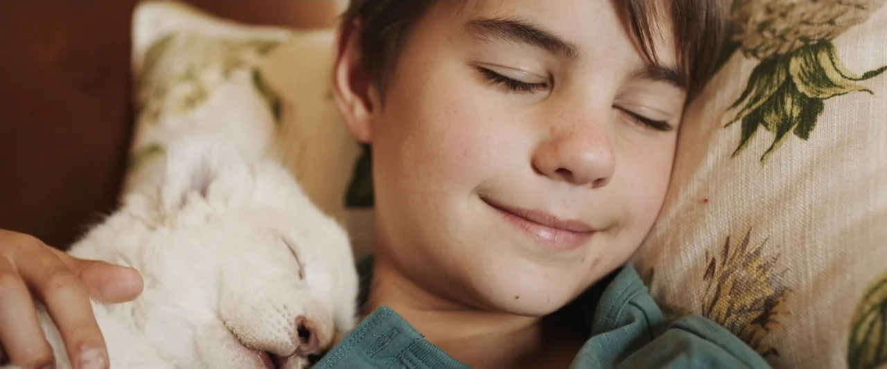 Mia and the White Lion (2018) movie still: closeup — A close view shows a child sleeping on a patterned cushion next to a puppy. The child's eyes…