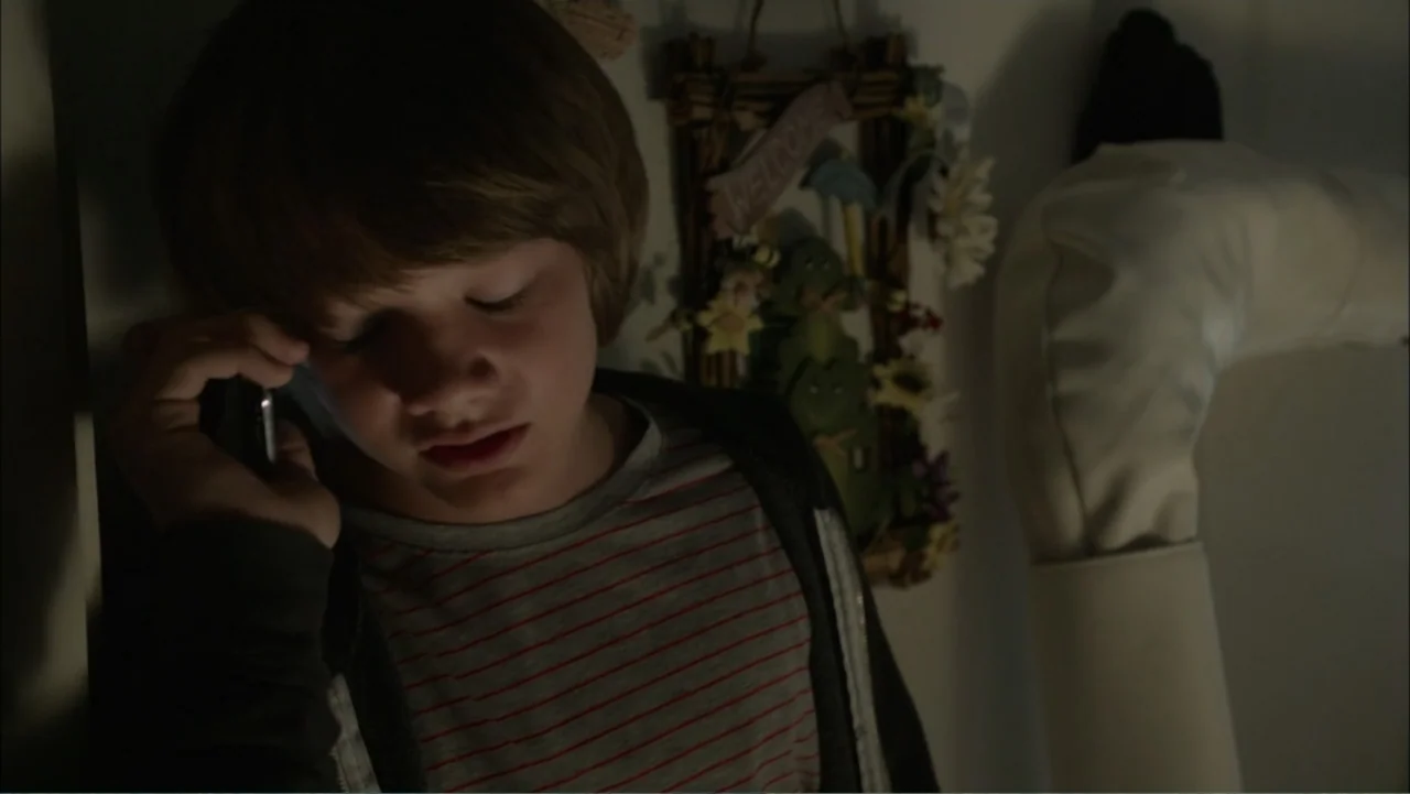 Dark Skies (2013) movie still: closeup — A dimly lit indoor corner features a wall decoration with artificial flowers. A young boy stands against…