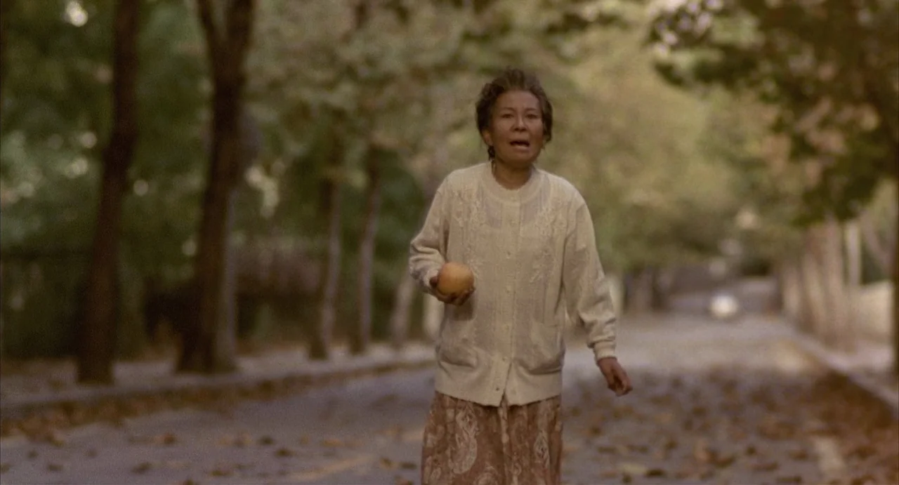 Barking Dogs Never Bite (2000) movie still: fullbody — An asphalt road is flanked by rows of deciduous trees with scattered brown fallen leaves. An…