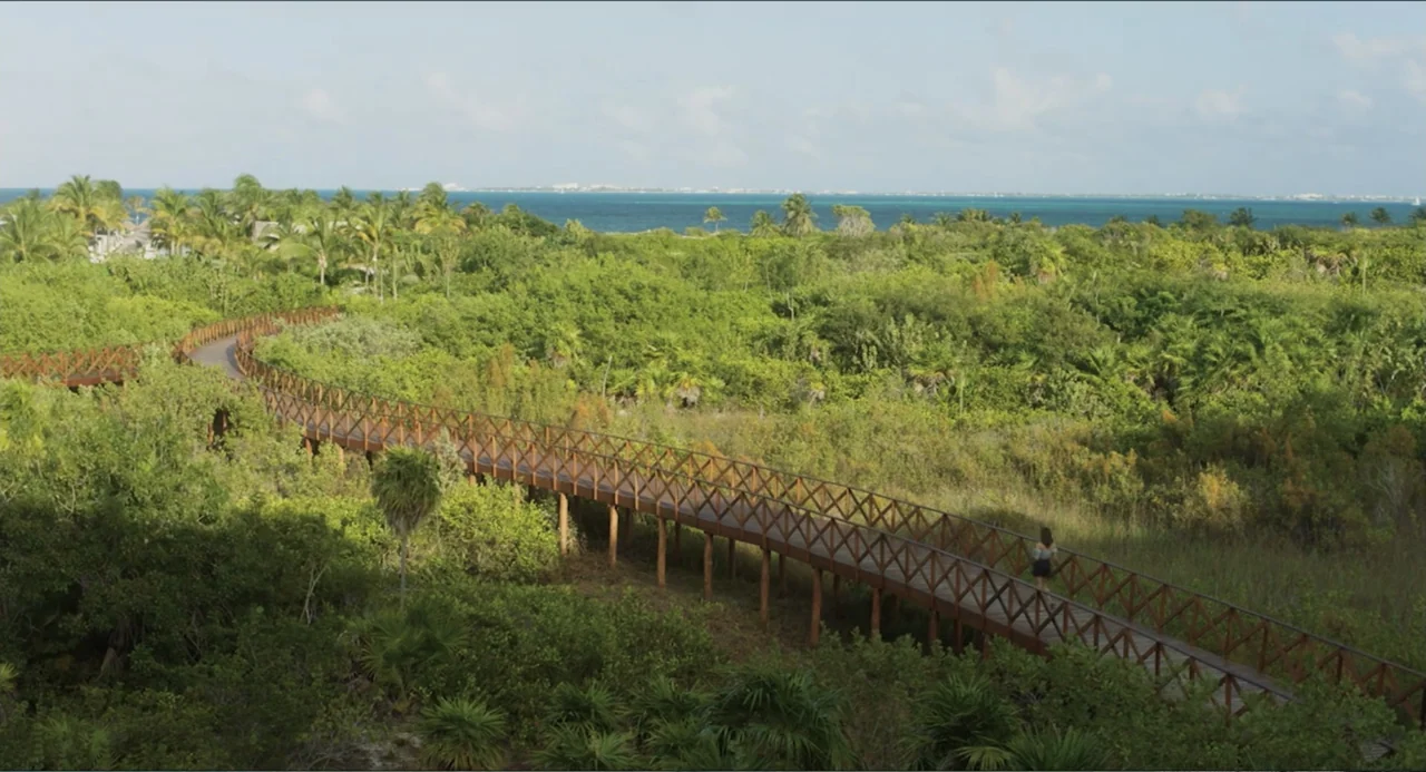 At Midnight (2023) movie still: wide — A wooden elevated walkway winds through dense green tropical vegetation near a coastline. A single person…