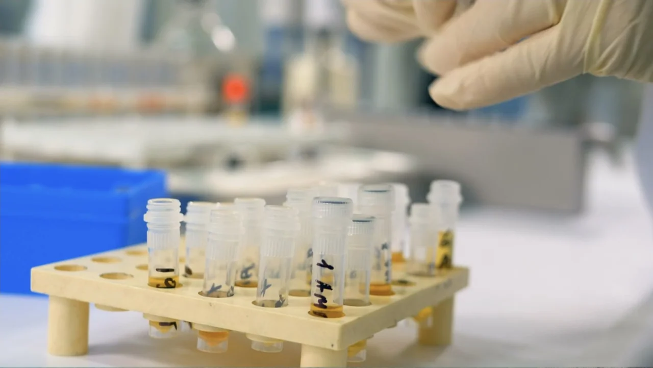Common Ground (2000) movie still: closeup — A laboratory bench surface holds a white plastic rack filled with small sample vials. A person wearing…