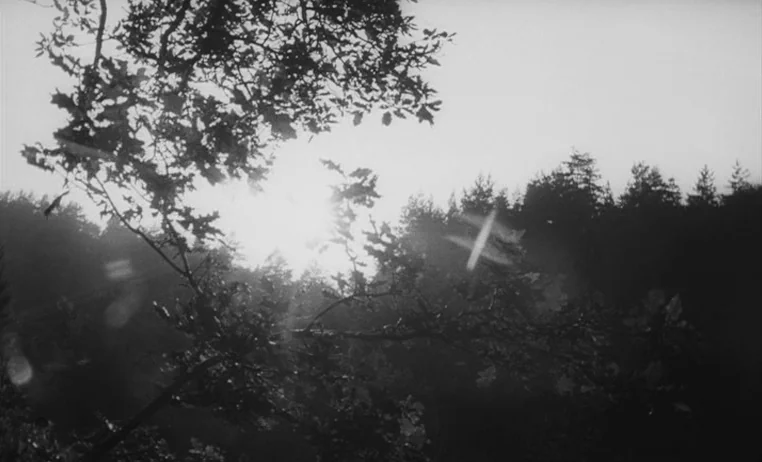 The Wild Child (1970) movie still: establishing — A dense treeline stands against a bright, hazy sky during the daytime. Silhouetted branches of an…