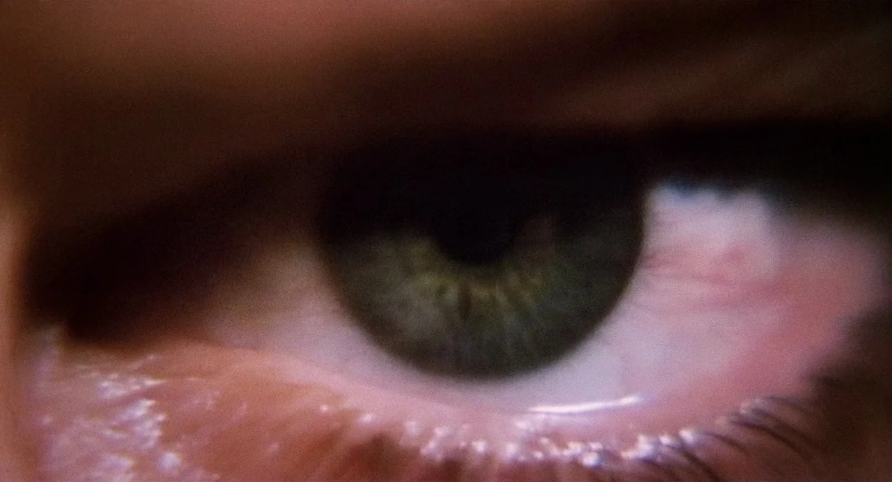 Highlander (1986) movie still: closeup — A extreme close-up of a human eye with a green iris. The skin of the eyelid is textured and slightly shiny.