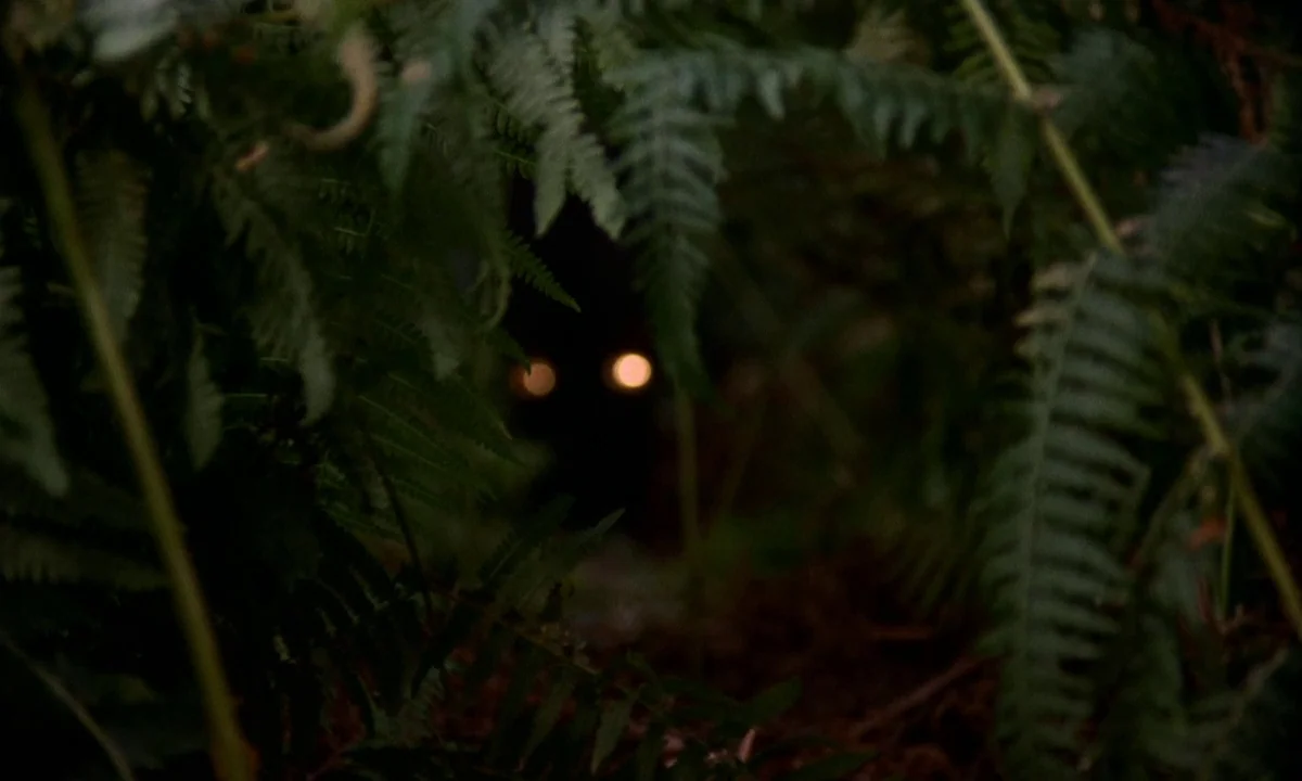 Vampire Circus (1972) movie still: closeup — Dense, dark green fern leaves frame a central void in a natural thicket. Two distinct glowing amber…
