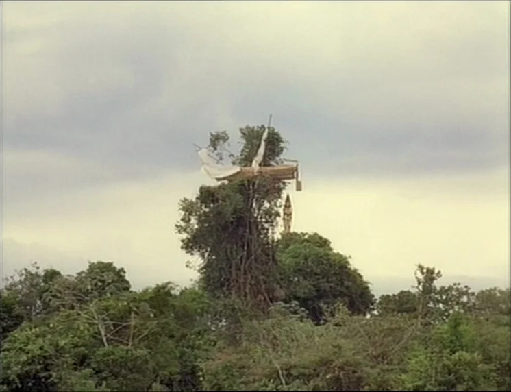 Aguirre, The Wrath Of God (Aguirre, der Zorn Gottes) (1972) movie still: wide — A wooden river boat sits caught in the high branches of a large…