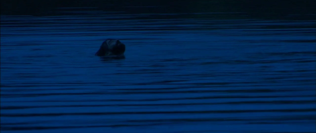 Silence (2012) movie still: wide — A man floats in deep, dark water at night. His head is visible above the surface.