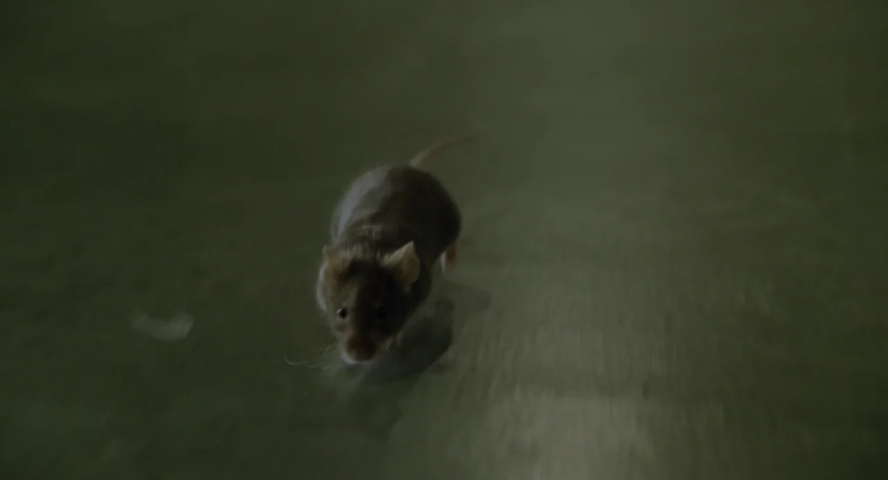 The Green Mile (1999) movie still: closeup — A dark, textured concrete surface spans the frame under low, dim lighting. A small brown mouse moves…