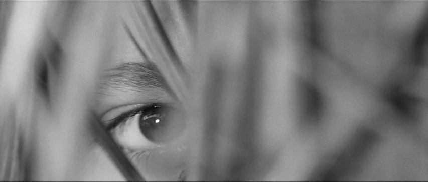 Marketa Lazarová (1967) movie still: closeup — A close-up view shows a single human eye framed by vertical grass blades. The blades of grass blur in…