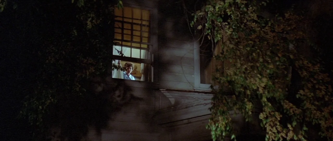 The Funhouse (1981) movie still: wide — A dark, overgrown two-story wooden house is shrouded in heavy shadows at night. A young person stands inside…