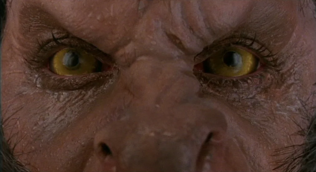 An American Werewolf in London (1981) movie still: closeup — A close-up reveals the detailed, hair-covered, prosthetic face of a werewolf. The…