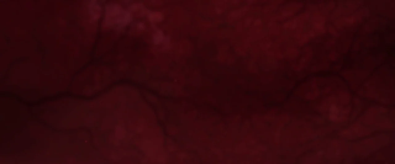 Prevenge (2016) movie still: closeup — This is an extreme close-up of a human retina or sclera surface. The view features dark red biological tissue…