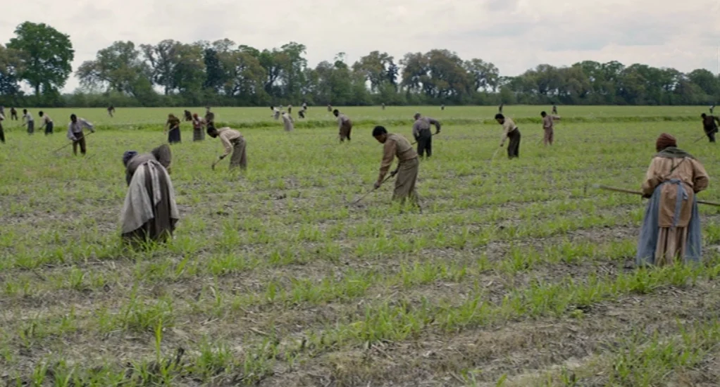 Free State of Jones (2016) movie still: wide — A vast flat field planted with young crops under a wide cloudy sky. Numerous laborers are spaced…