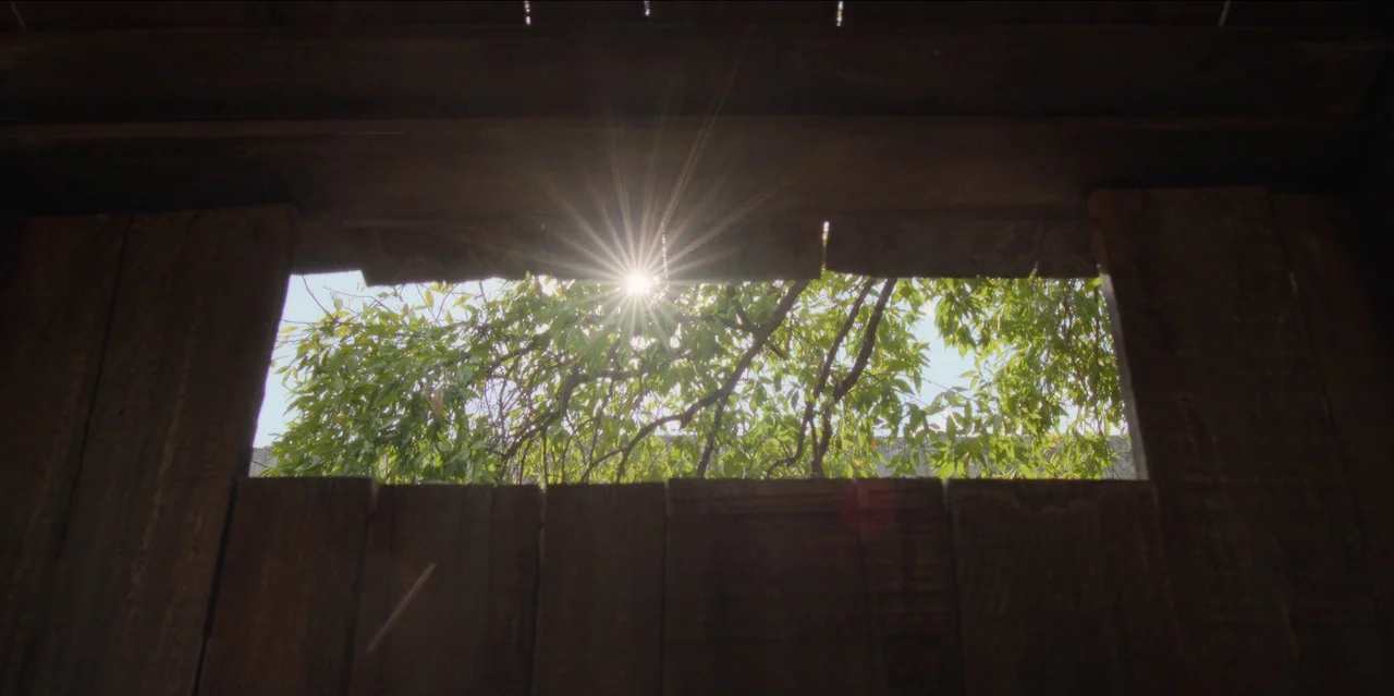 Pedro Páramo (2024) movie still: establishing — A dark wooden wall with a horizontal opening reveals a view of green foliage. Bright sun rays glint…