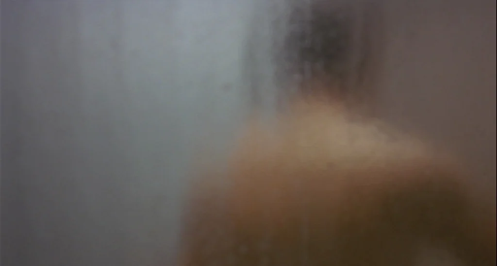 Trouble Every Day (2001) movie still: medium — A person stands behind a translucent, water-streaked shower curtain. The figure appears as a soft,…
