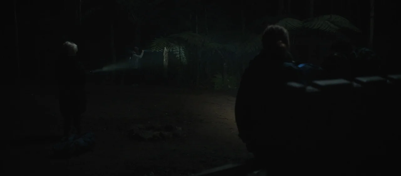 Force of Nature: The Dry 2 (2024) movie still: wide — A group of people standing in a dark forest at night among ferns. Individuals point…