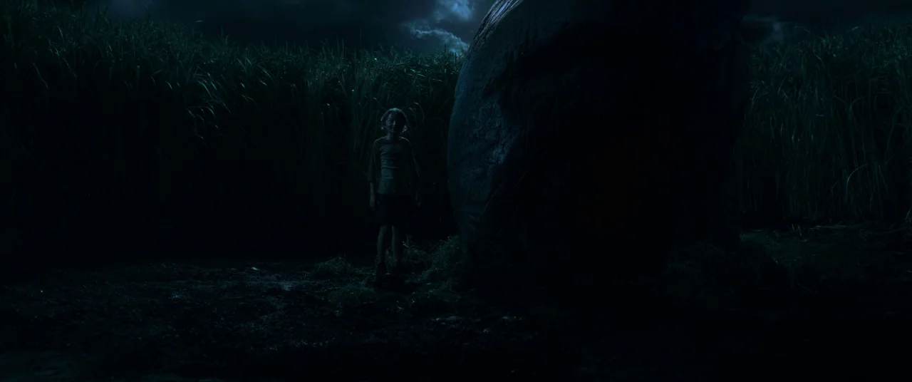 In The Tall Grass (2019) movie still: wide — A dark night landscape featuring a dense field of tall stalks under moonlight. A young child stands…