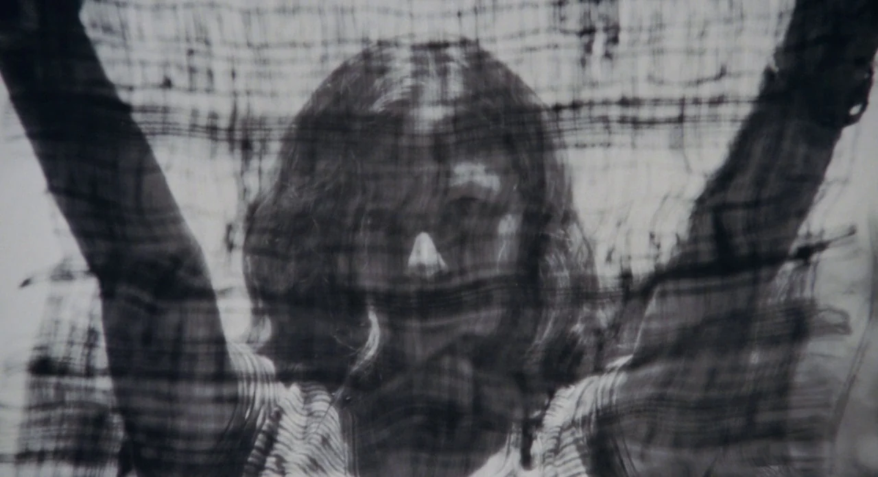 Boyhood (2014) movie still: closeup — A person stands behind a thin, horizontally textured fabric that obscures their features. The subject raises…