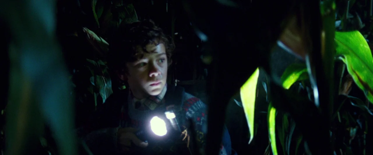 A Quiet Place (2018) movie still: medium — A dark, dense cornfield at night obscures the surrounding area with tall stalks. A young boy in a sweater…