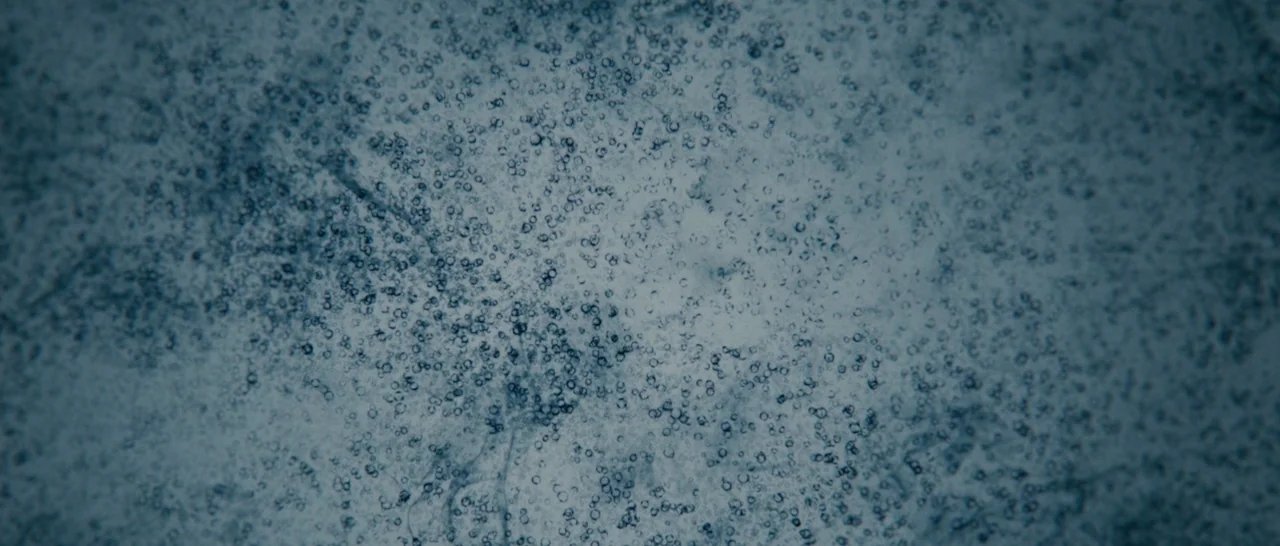Arrival (2016) movie still: closeup — A close-up view of a frozen, translucent surface covered in dense, small air bubbles. The ice texture is…