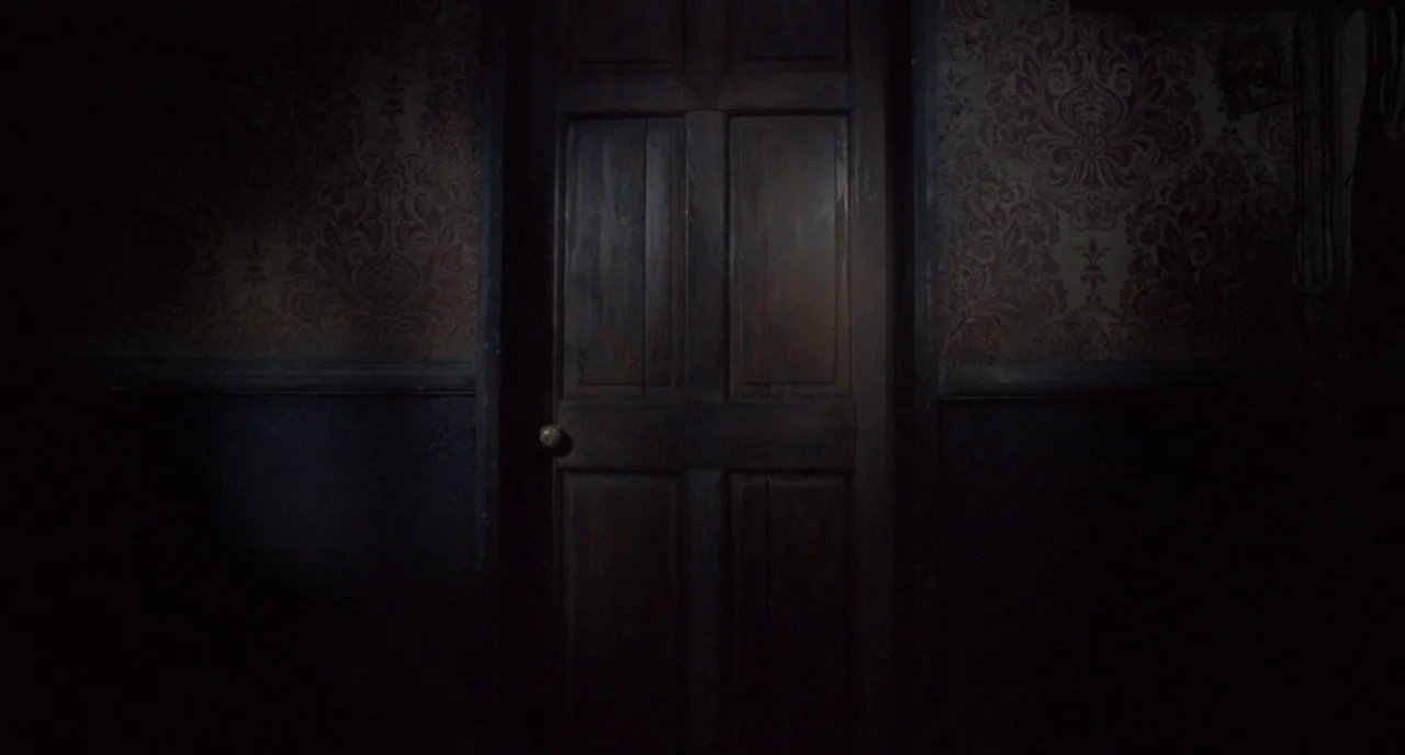 Possum (2018) movie still: medium — A dimly lit passage features dark wooden walls adorned with faded, ornate burgundy wallpaper. A closed…
